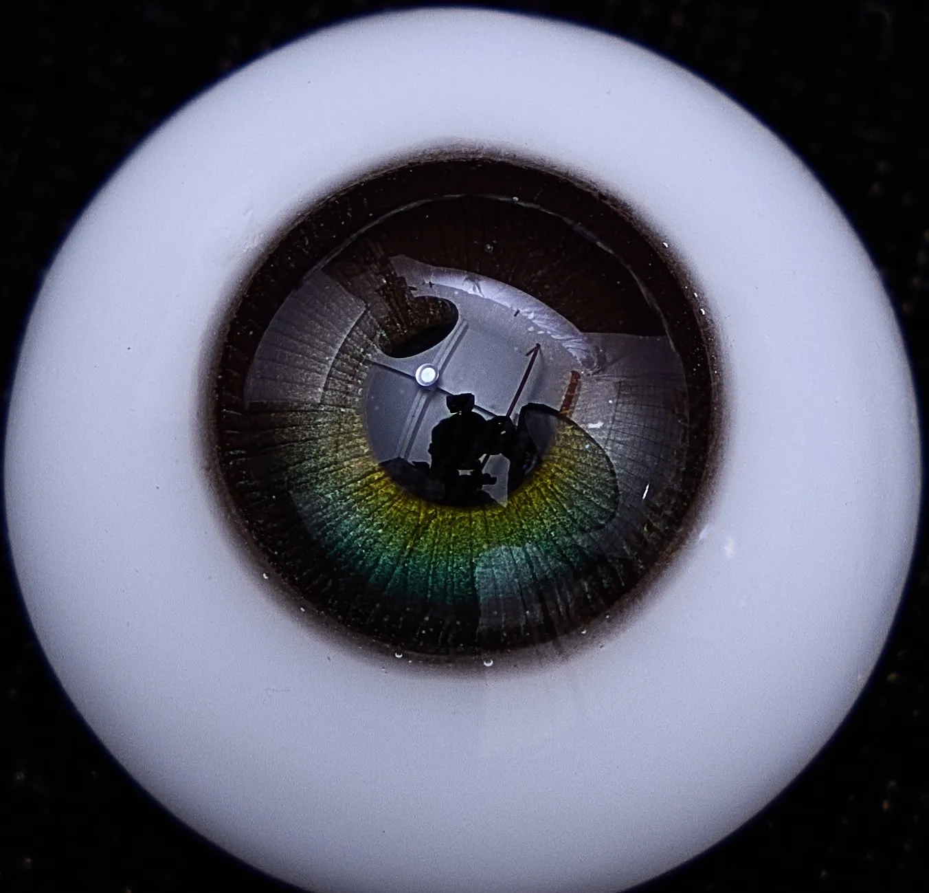 Eye colour 12 — hazel green