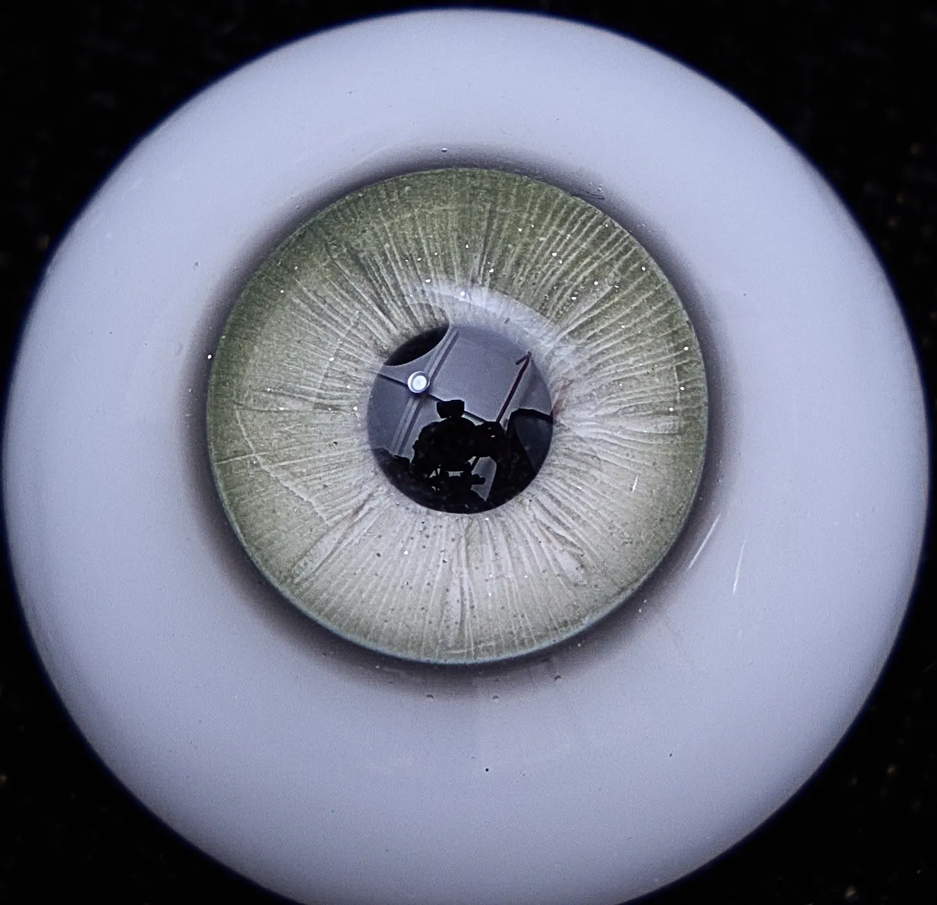 Eye colour 16 — pale green