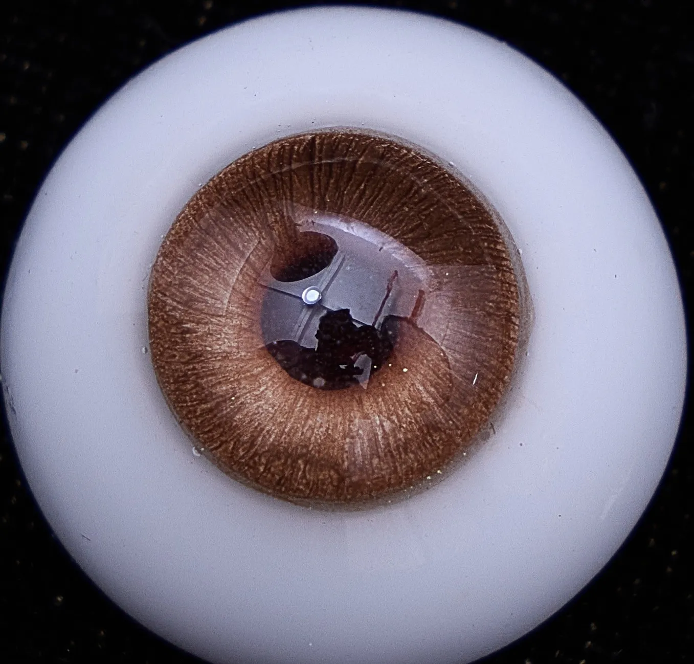Eye colour 18 — copper brown