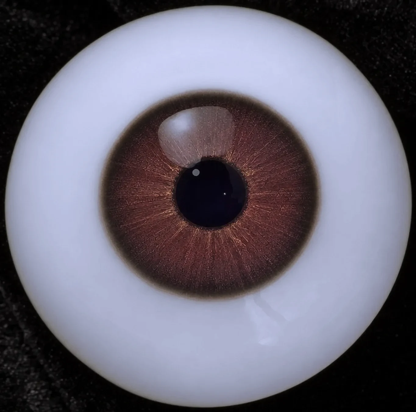 Eye colour 22 — auburn brown