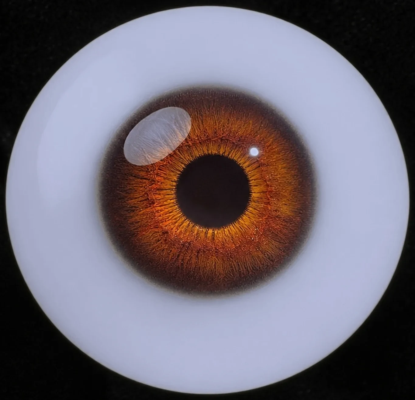 Eye colour 23 — amber orange