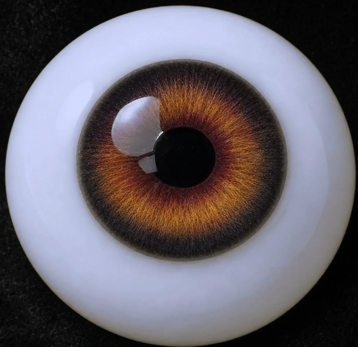 Eye colour 24 — golden brown