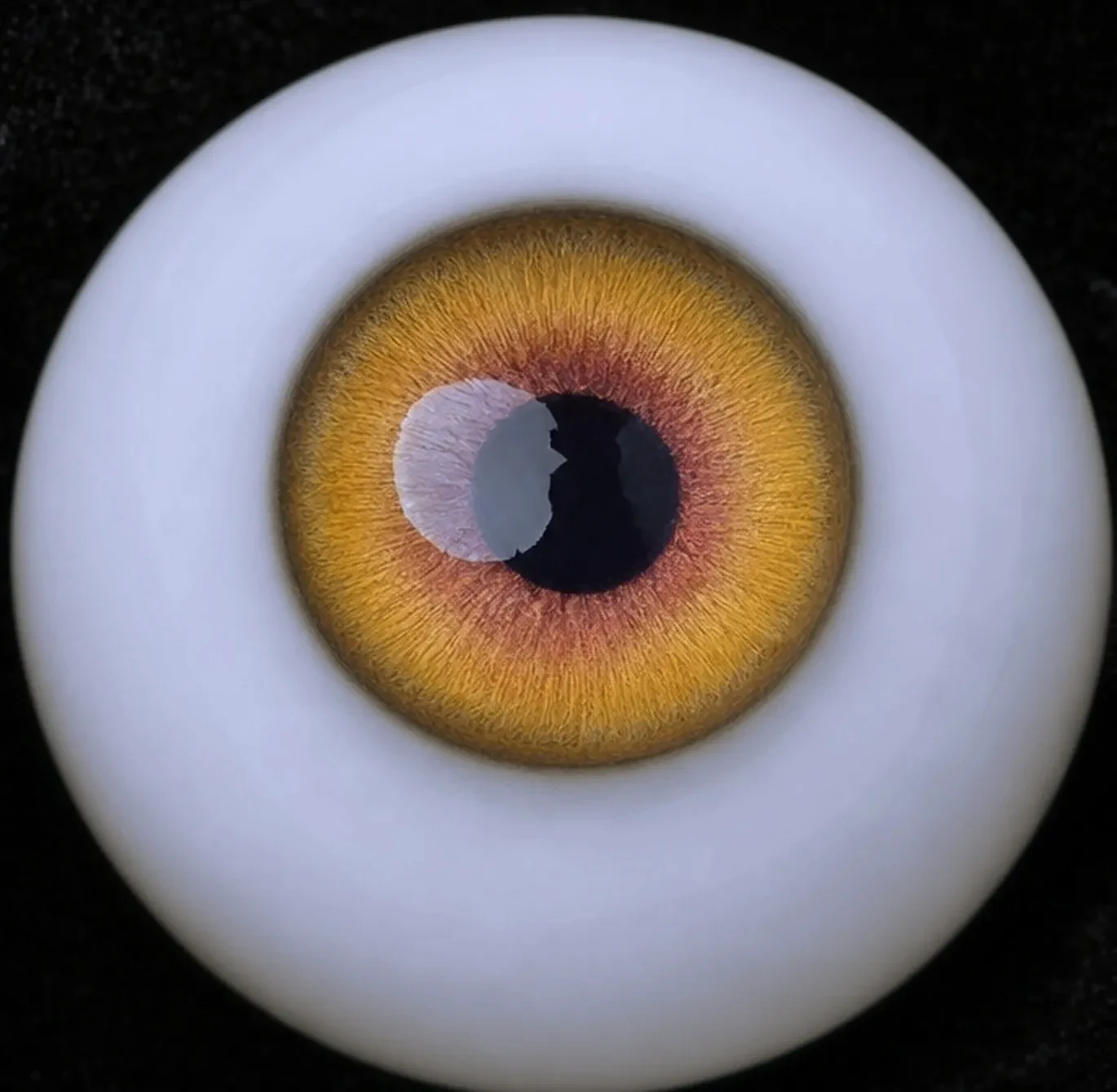 Eye colour 27 — gold yellow